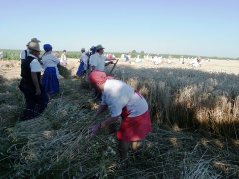 aratas_2010_04.jpg aratas_2010_04.jpg