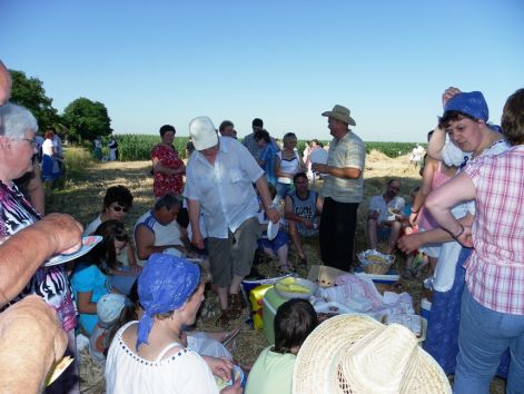 aratas_2010_08.jpg aratas_2010_08.jpg